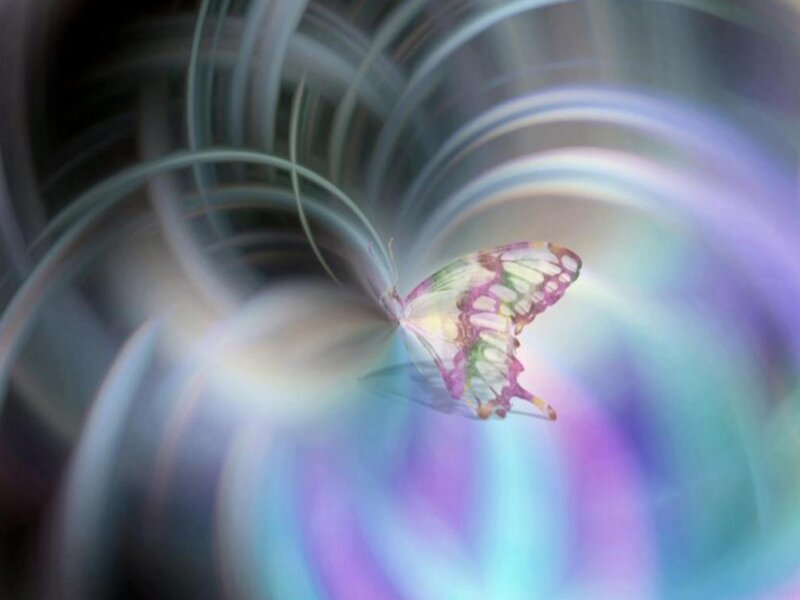 Butterfly in Motion — Purple