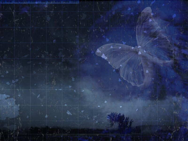 Butterfly in Night Sky