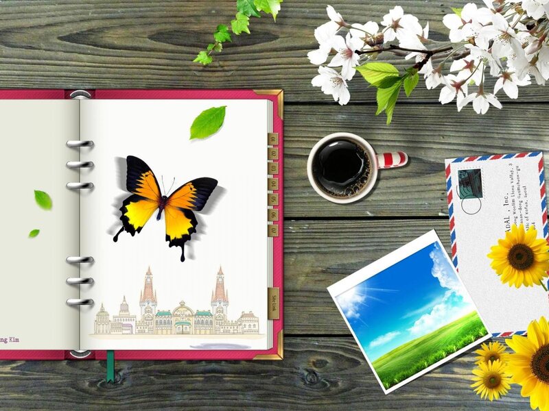 Butterfly in Open Notebook