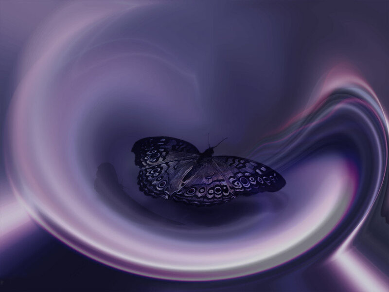 butterfly in purple vortex