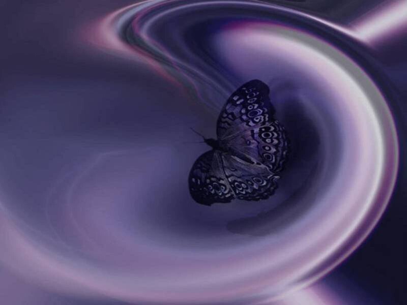 butterfly in purple vortex