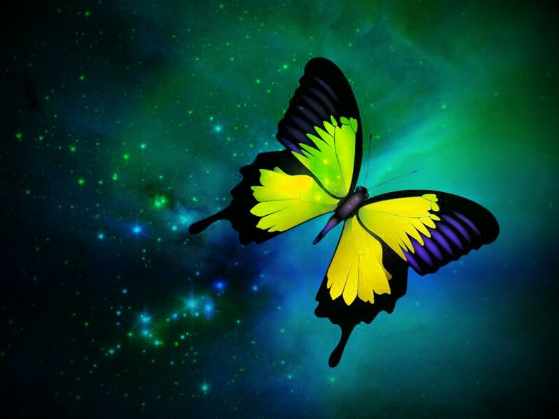 Butterfly in Space — Green