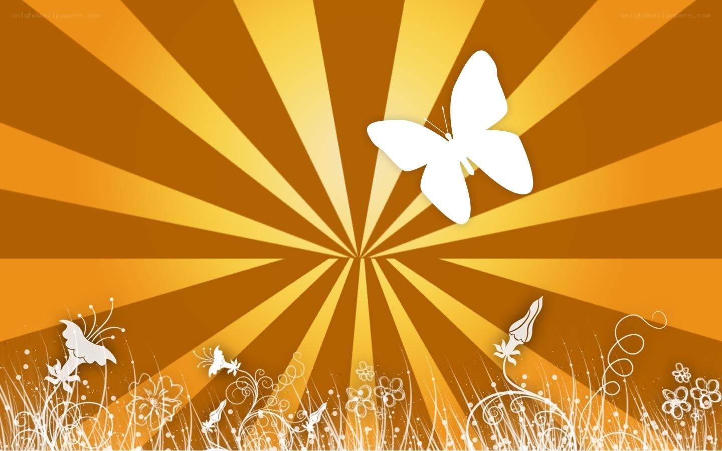 butterfly in sunburst field