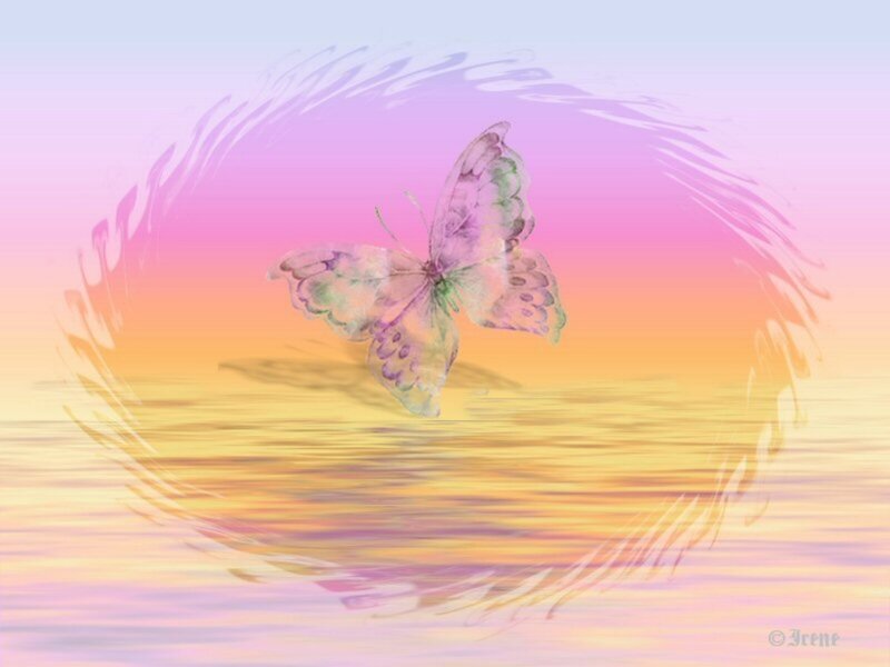 Butterfly in Water