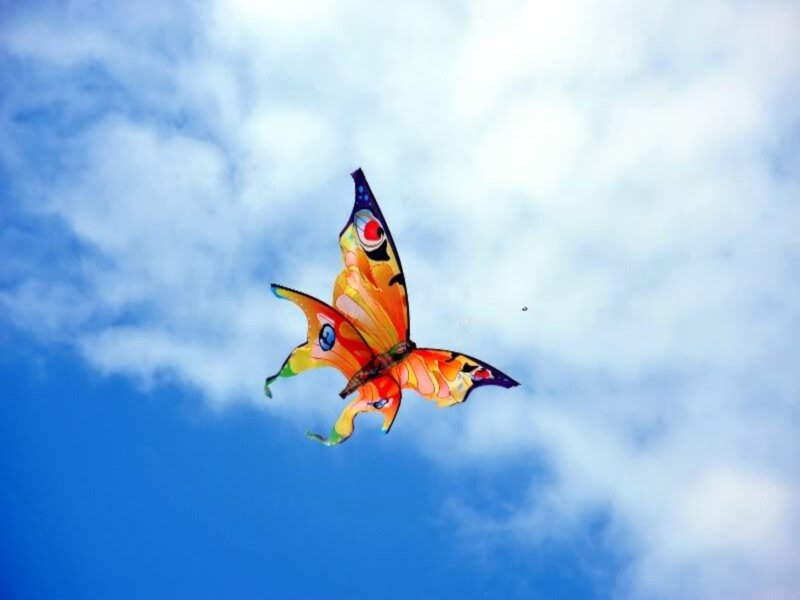 Butterfly Kite