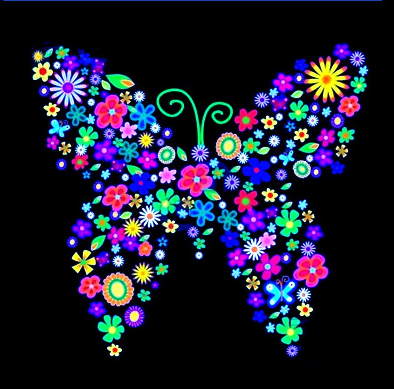 Butterfly Made of Flowers