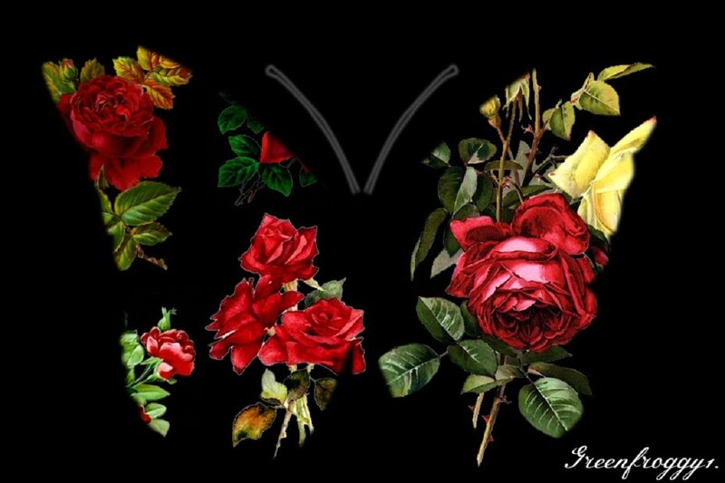 Butterfly Made of Roses