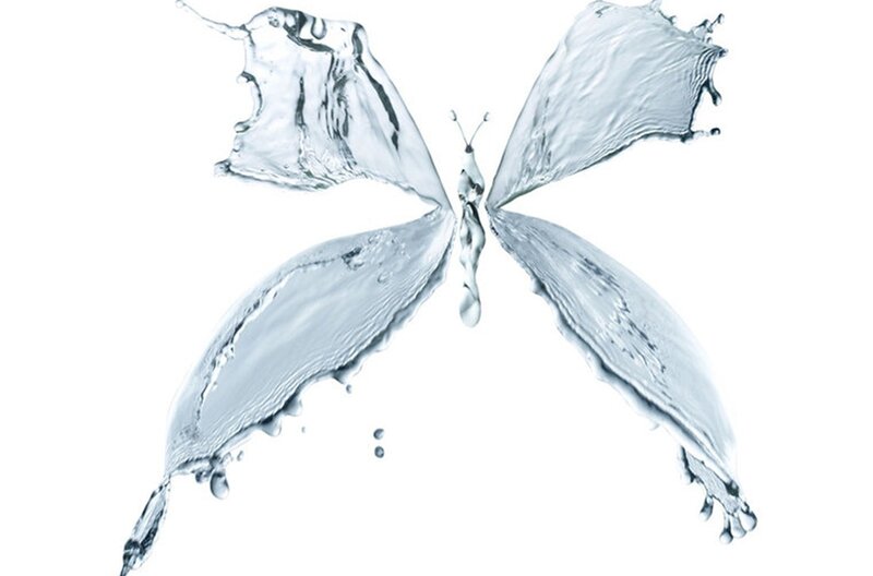 Butterfly Made of Water