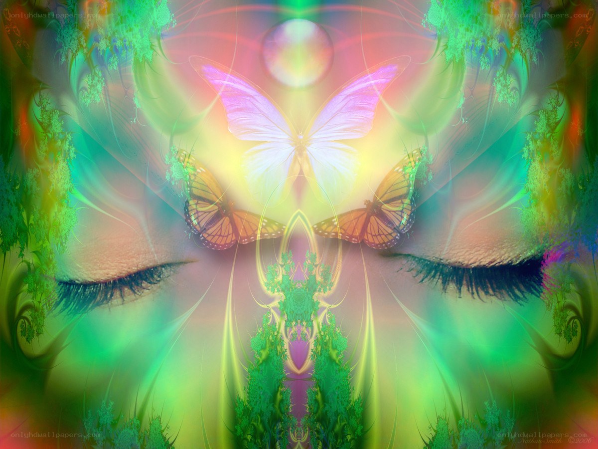 butterfly meditation art