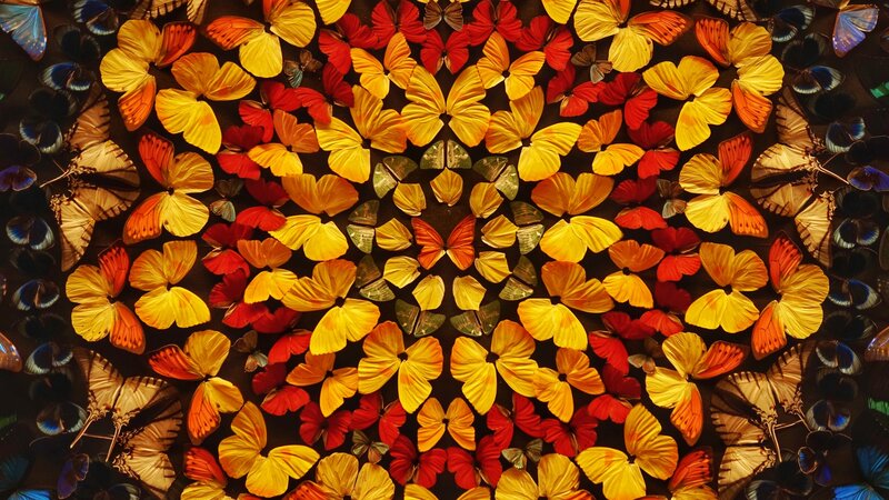 Butterfly Mosaic Pattern — Yellow