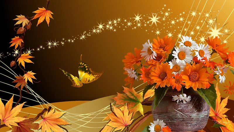 Butterfly Near Autumn Flowers
