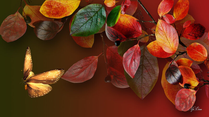 Butterfly Near Autumn Leaves — Red