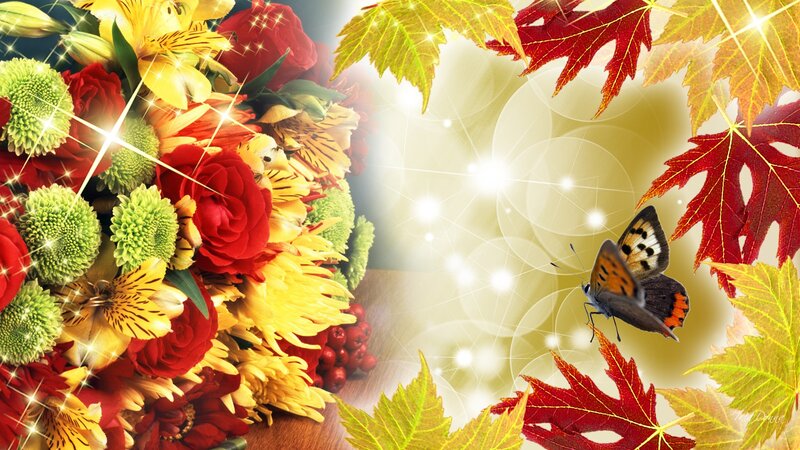 Butterfly Near Autumn Leaves