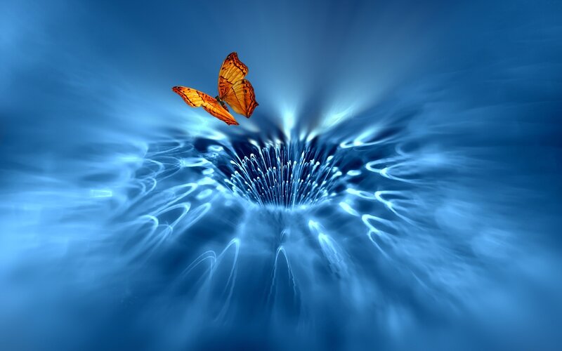 Butterfly Near Blue Vortex