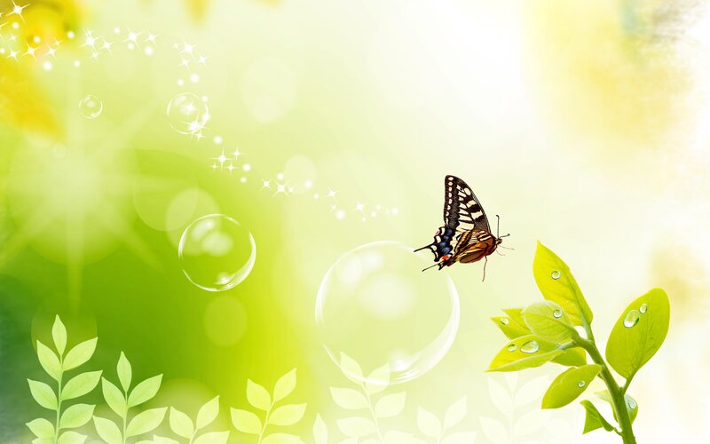 Butterfly Near Bubbles — Green
