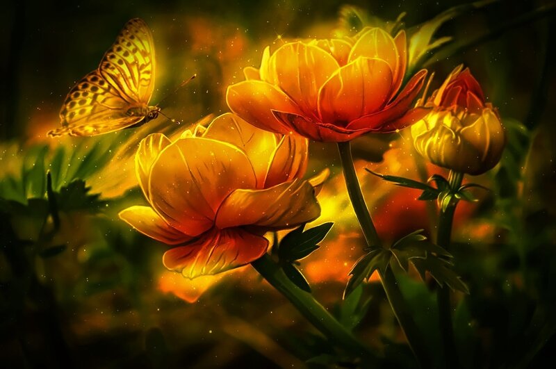 Butterfly Near Flowers — Yellow, Serene