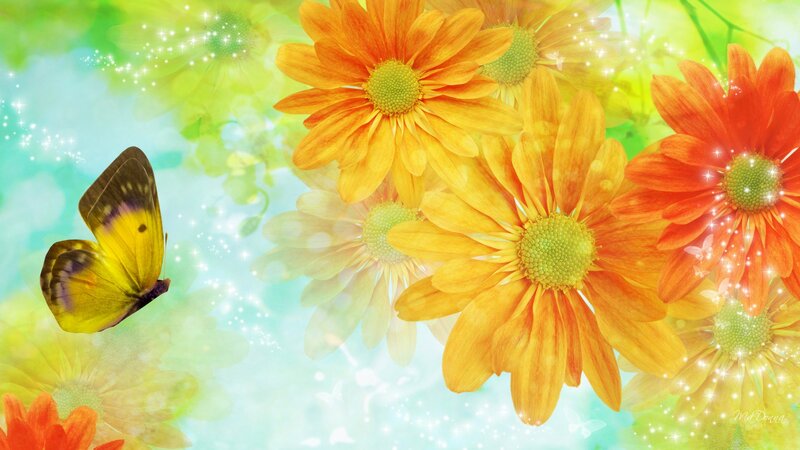 Butterfly Near Flowers — Yellow