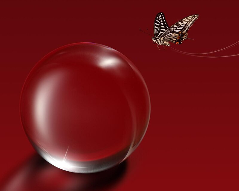 Butterfly Near Glass Sphere