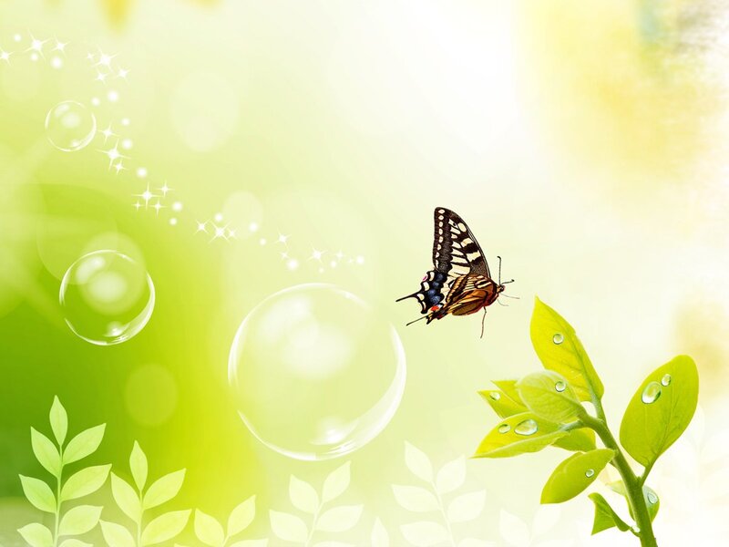 Butterfly Near Leaves
