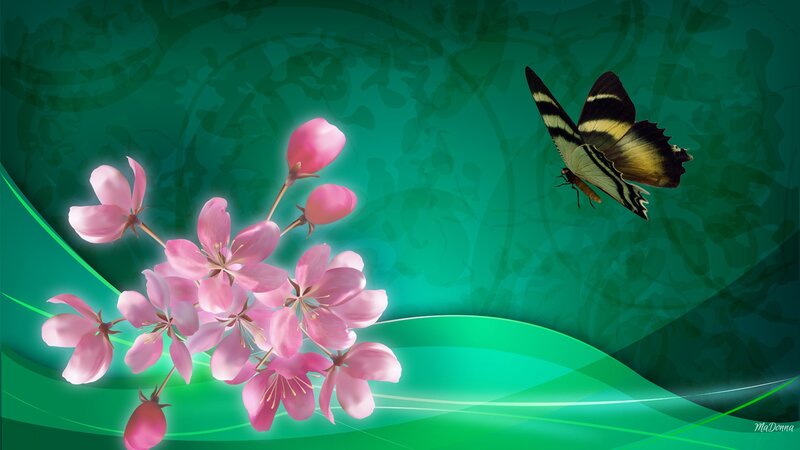 Butterfly Near Pink Flowers — Green