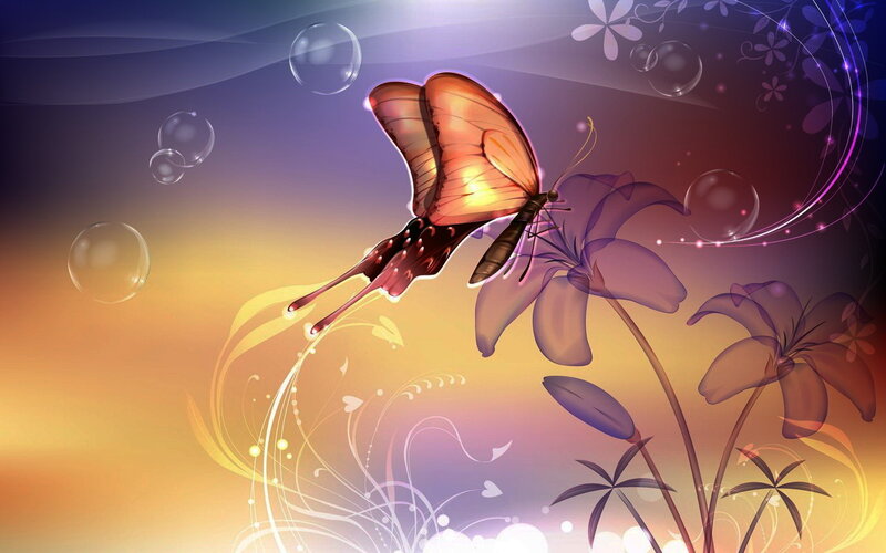 Butterfly Near Purple Flowers — Dreamy