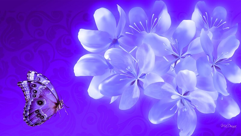 Butterfly Near Purple Flowers — Serene, Digital Art