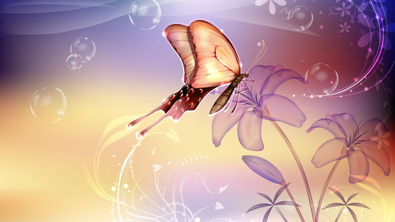 Butterfly Near Purple Flowers — Serene, Sunset