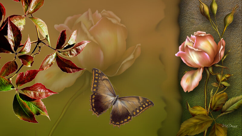 Butterfly Near Roses