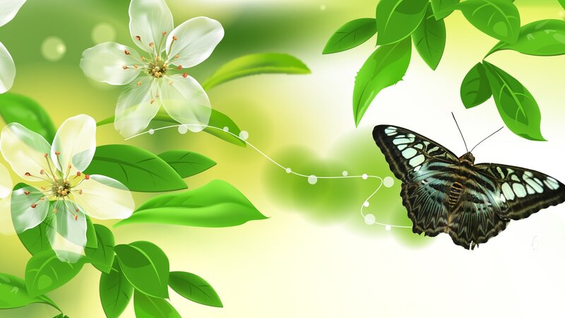 Butterfly Near White Flowers — Green