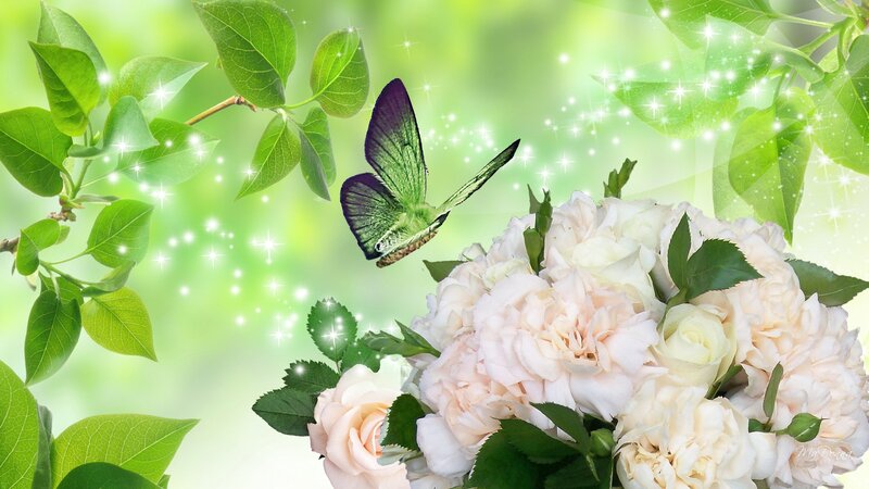 Butterfly Near White Roses