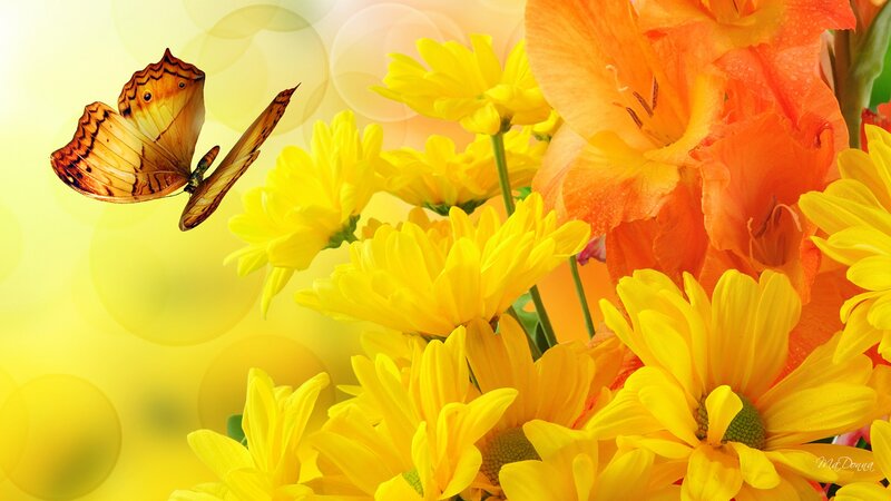 Butterfly Near Yellow Flowers — Bright