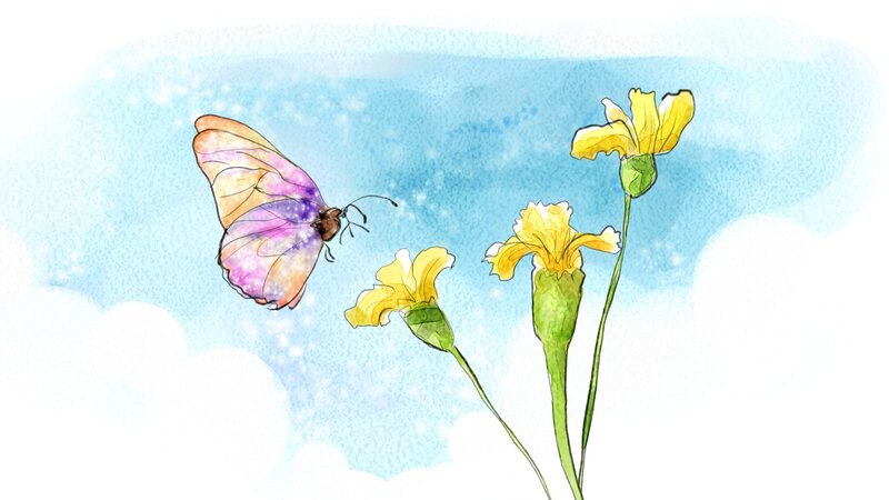 Butterfly Near Yellow Flowers