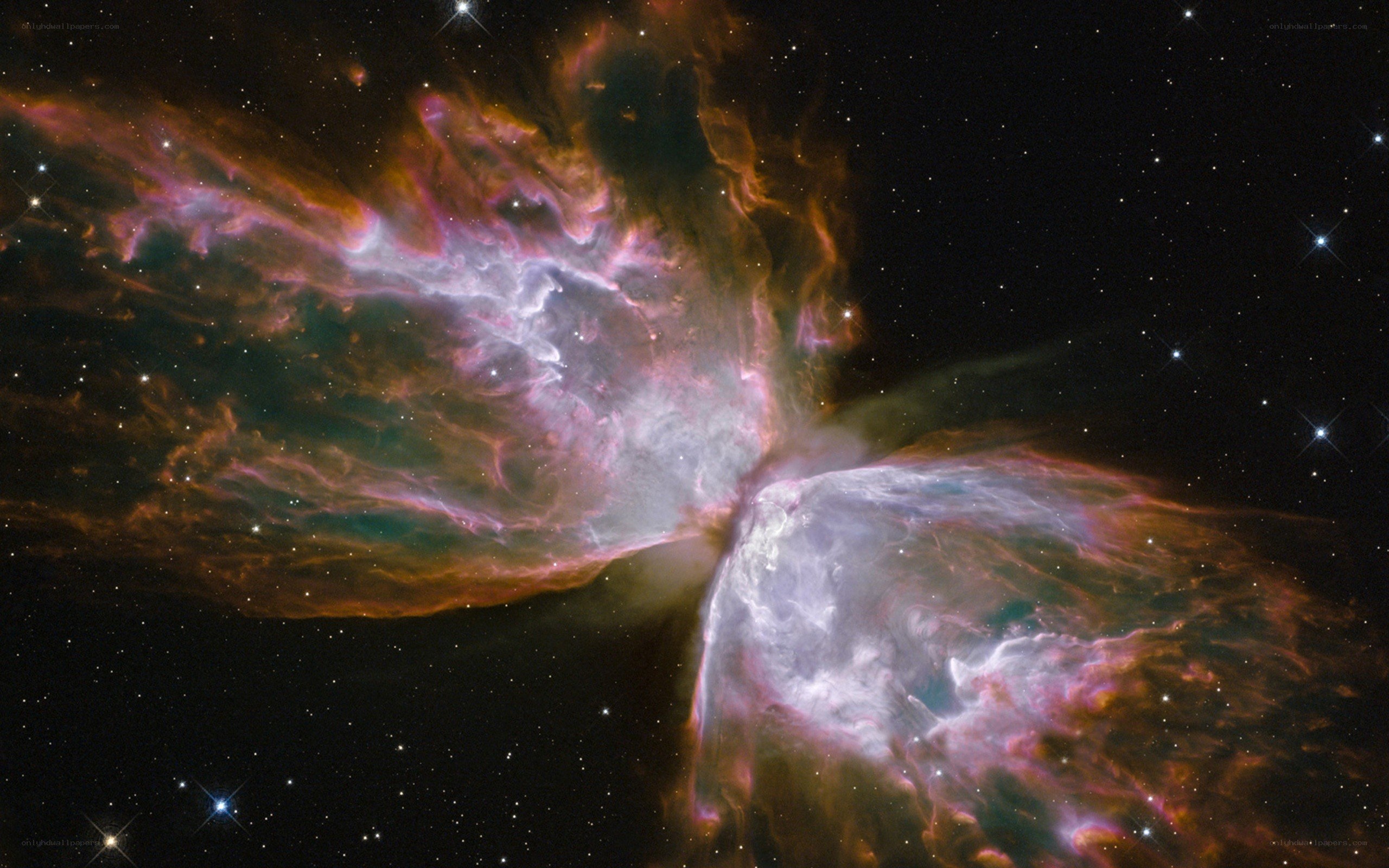 Butterfly Nebula