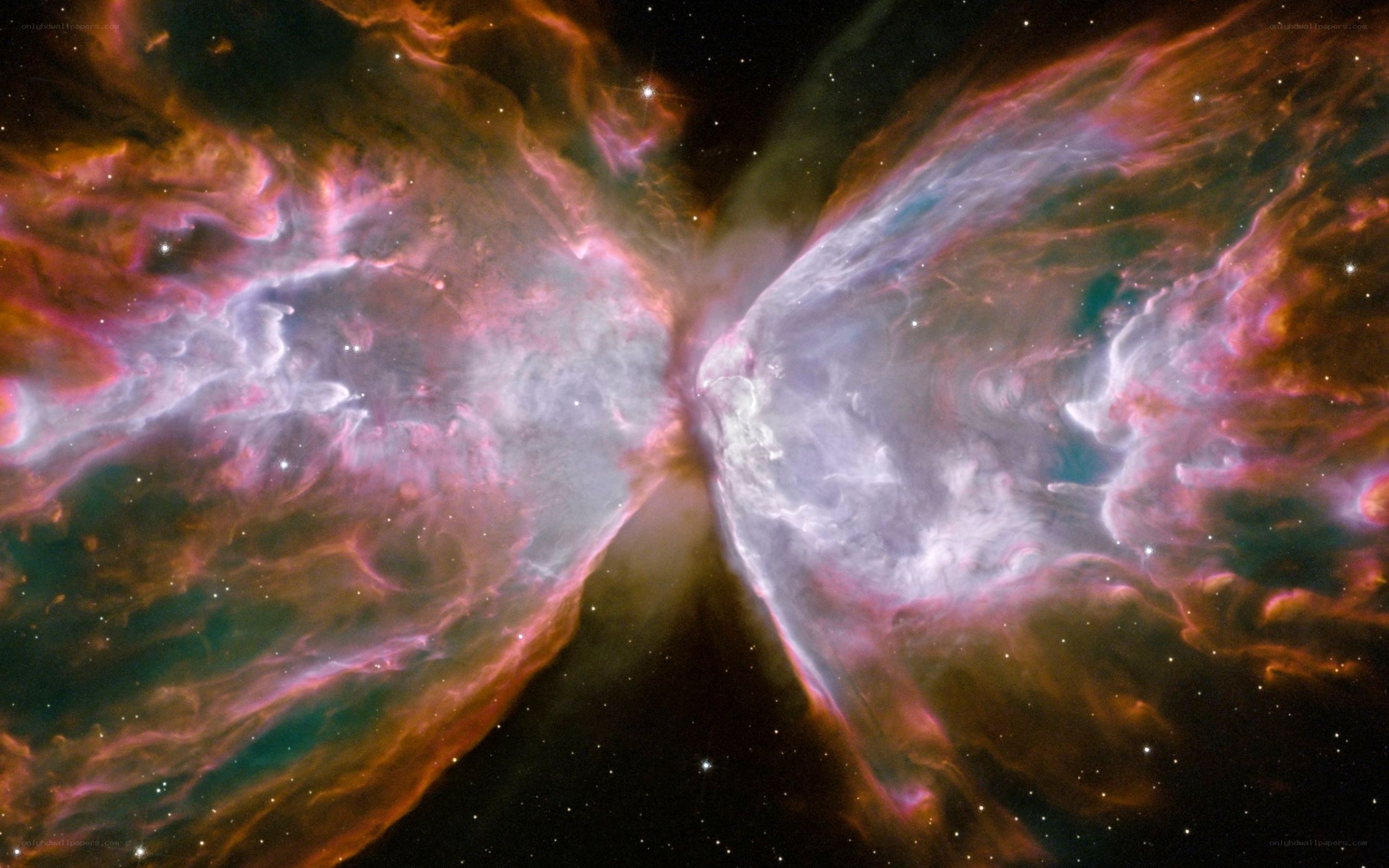 Butterfly Nebula