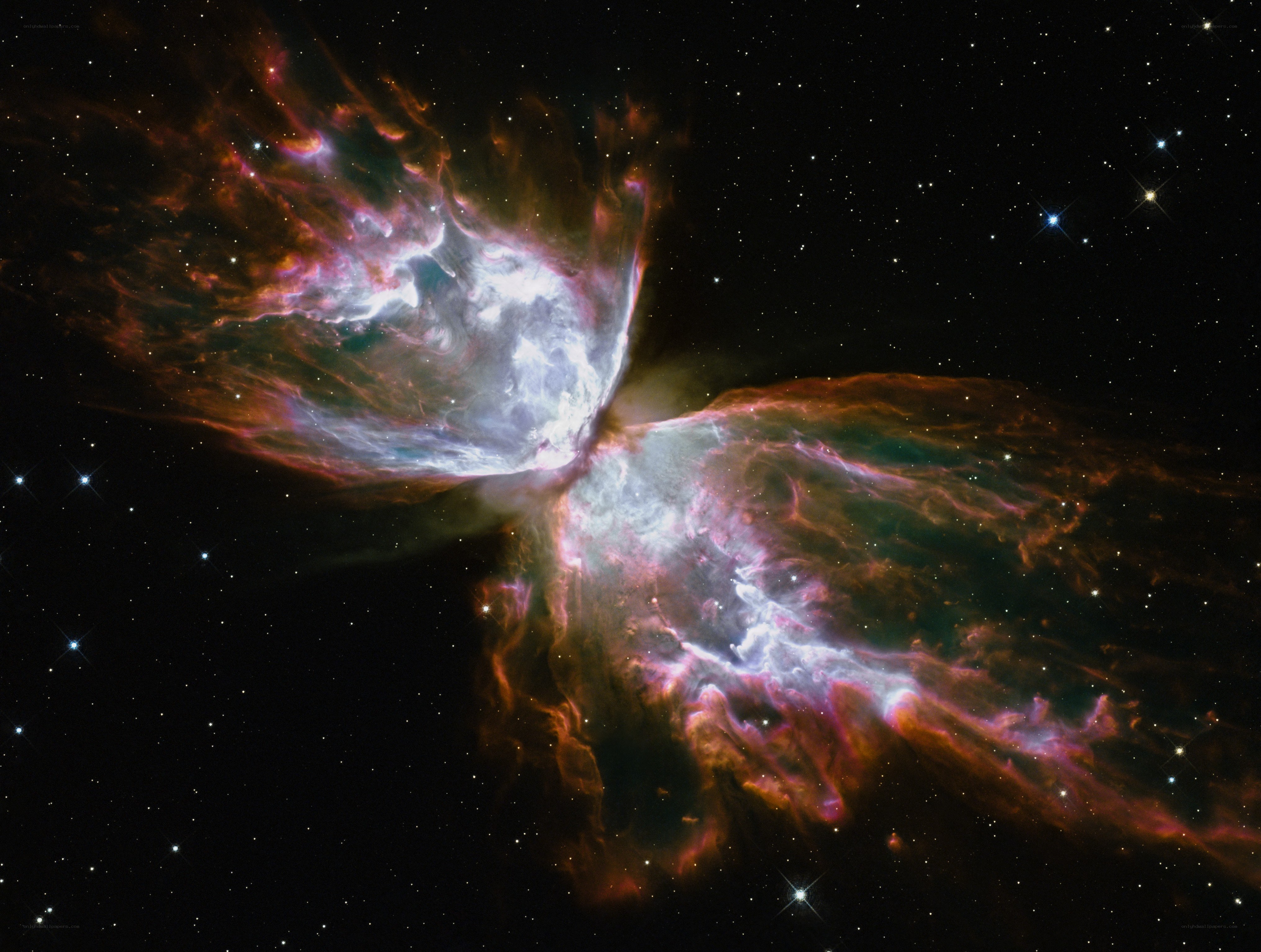 Butterfly Nebula