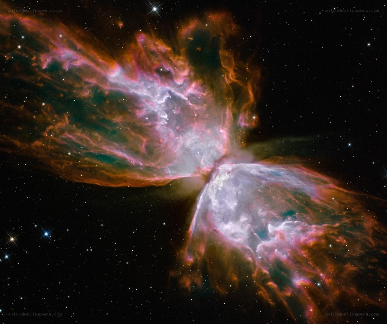 Butterfly Nebula