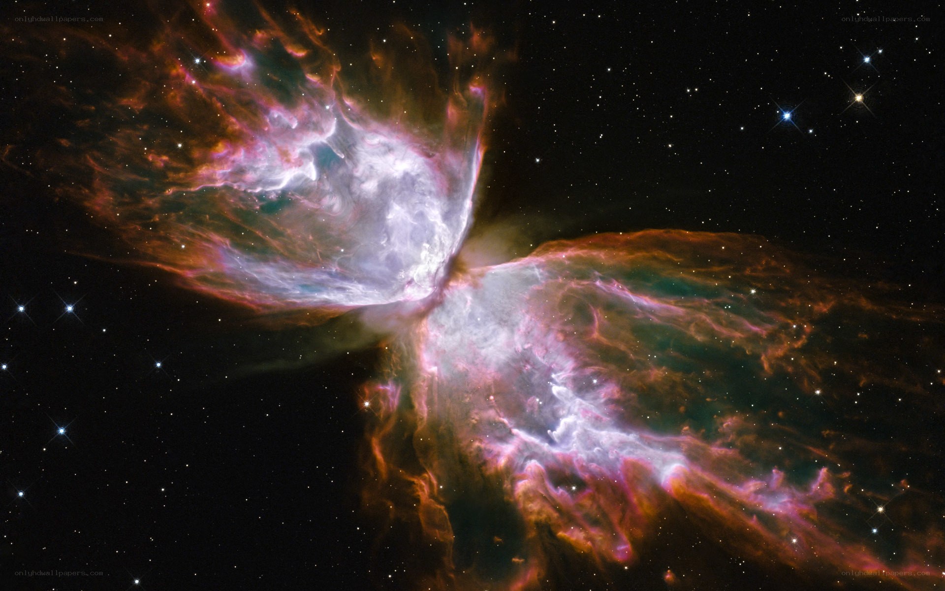 Butterfly Nebula