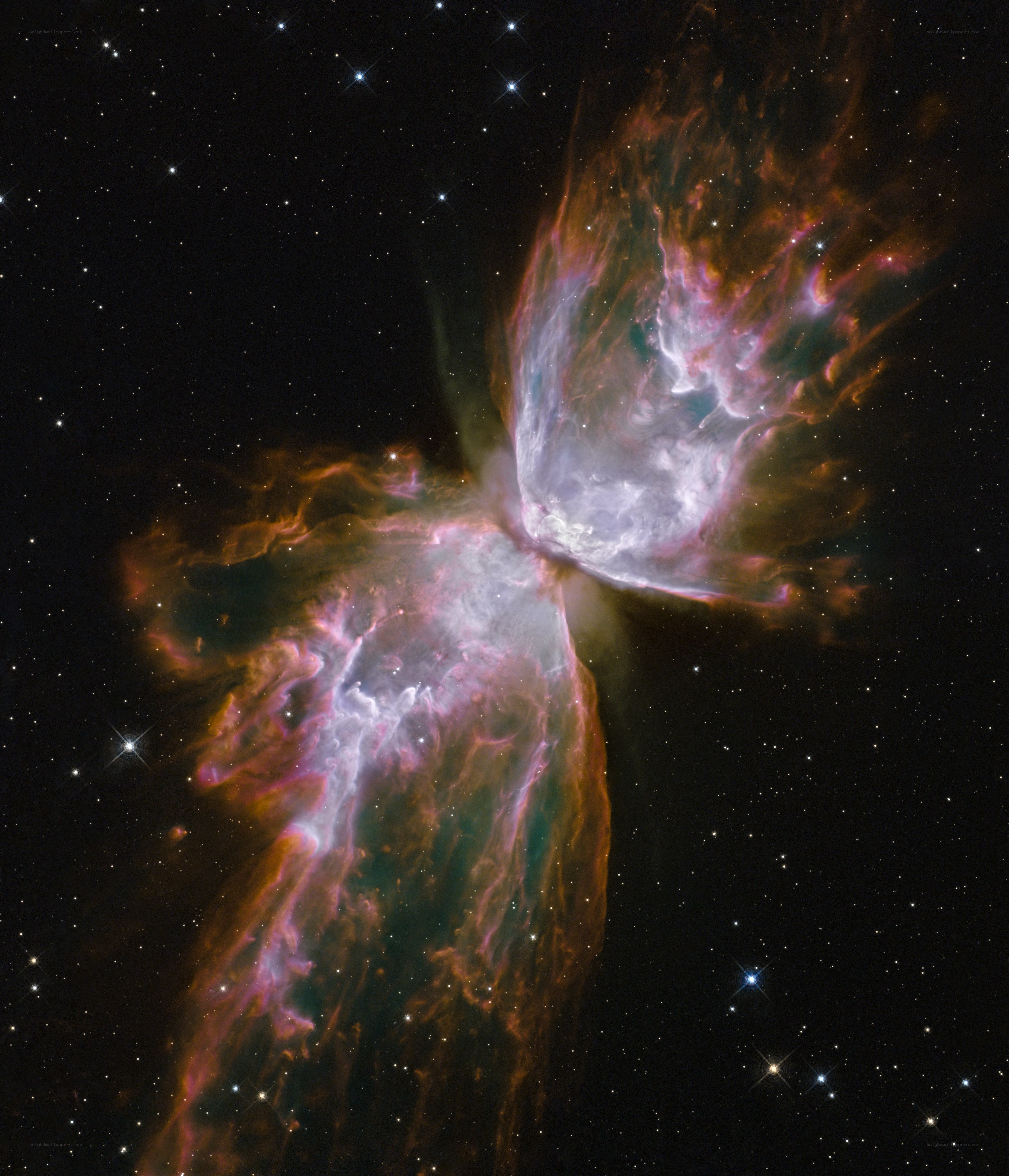 Butterfly Nebula in space