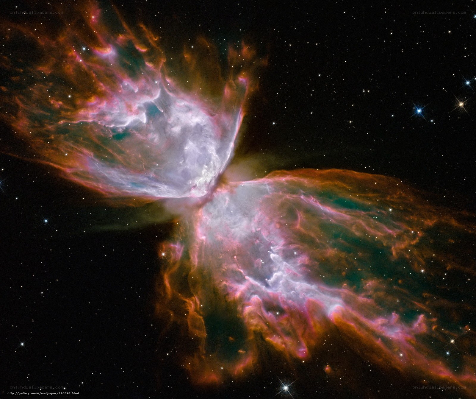 Butterfly Nebula in space