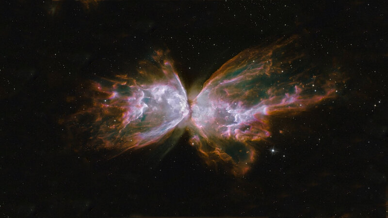 Butterfly Nebula — Purple, Cosmic, Night, Photograph, Stars