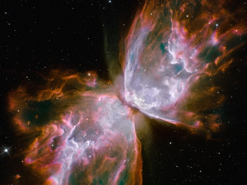 Butterfly Nebula — Purple, Dramatic, Night, Photograph, Stars, Gas Clouds, Space, Pink