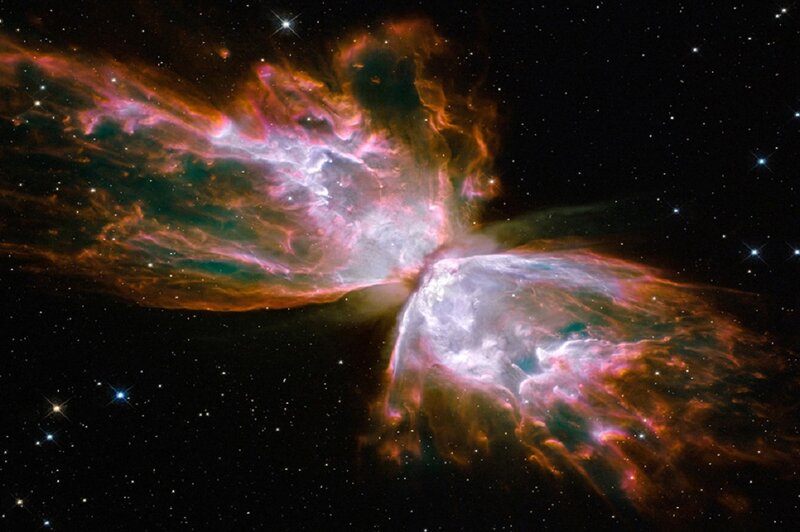 Butterfly Nebula — Purple, Dramatic, Night, Photograph, Stars