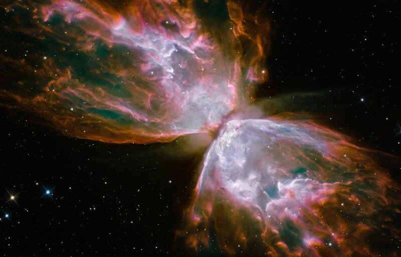 Butterfly Nebula — Purple, Dramatic, Night, Photograph