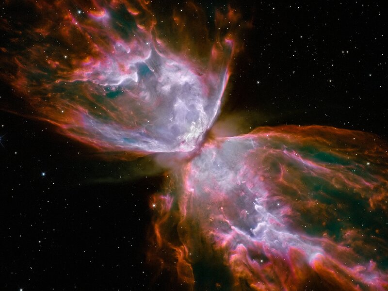 Butterfly Nebula — Purple