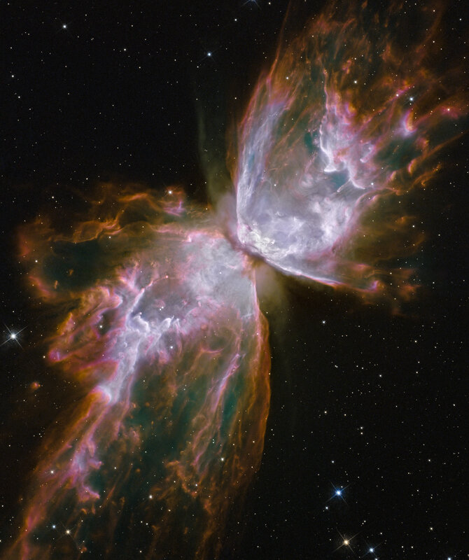 Butterfly Nebula