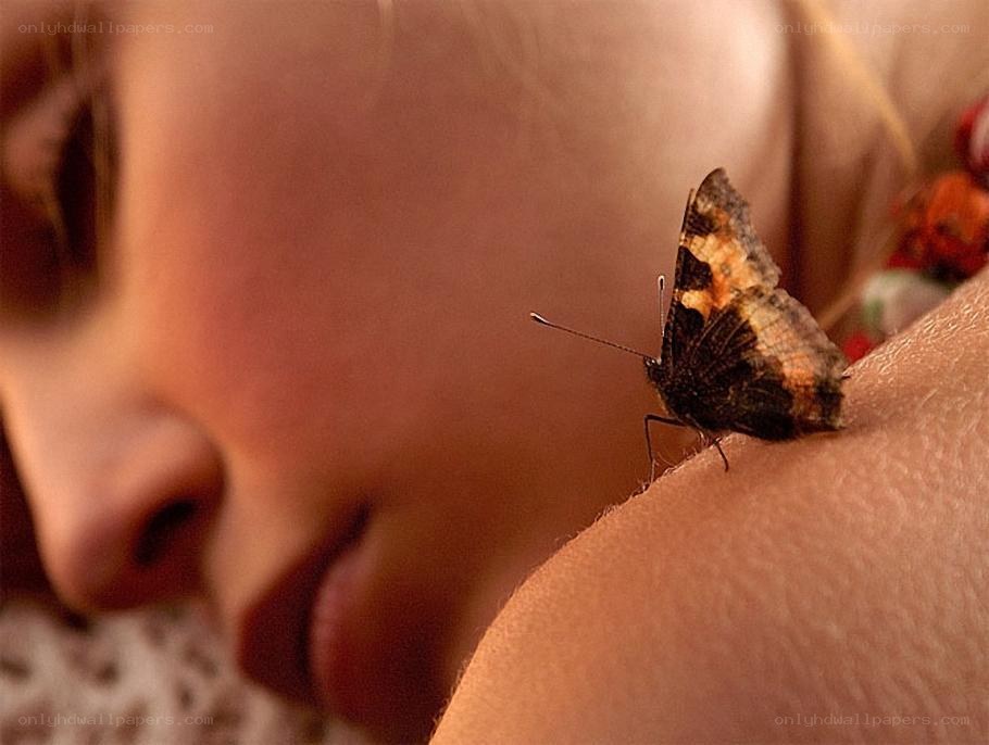 butterfly on a child's shoulder