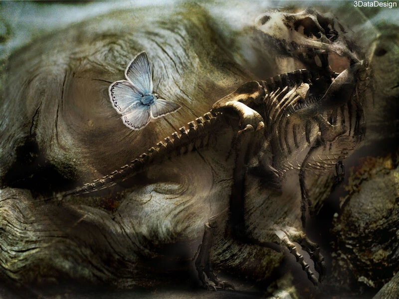 Butterfly on a dinosaur skeleton