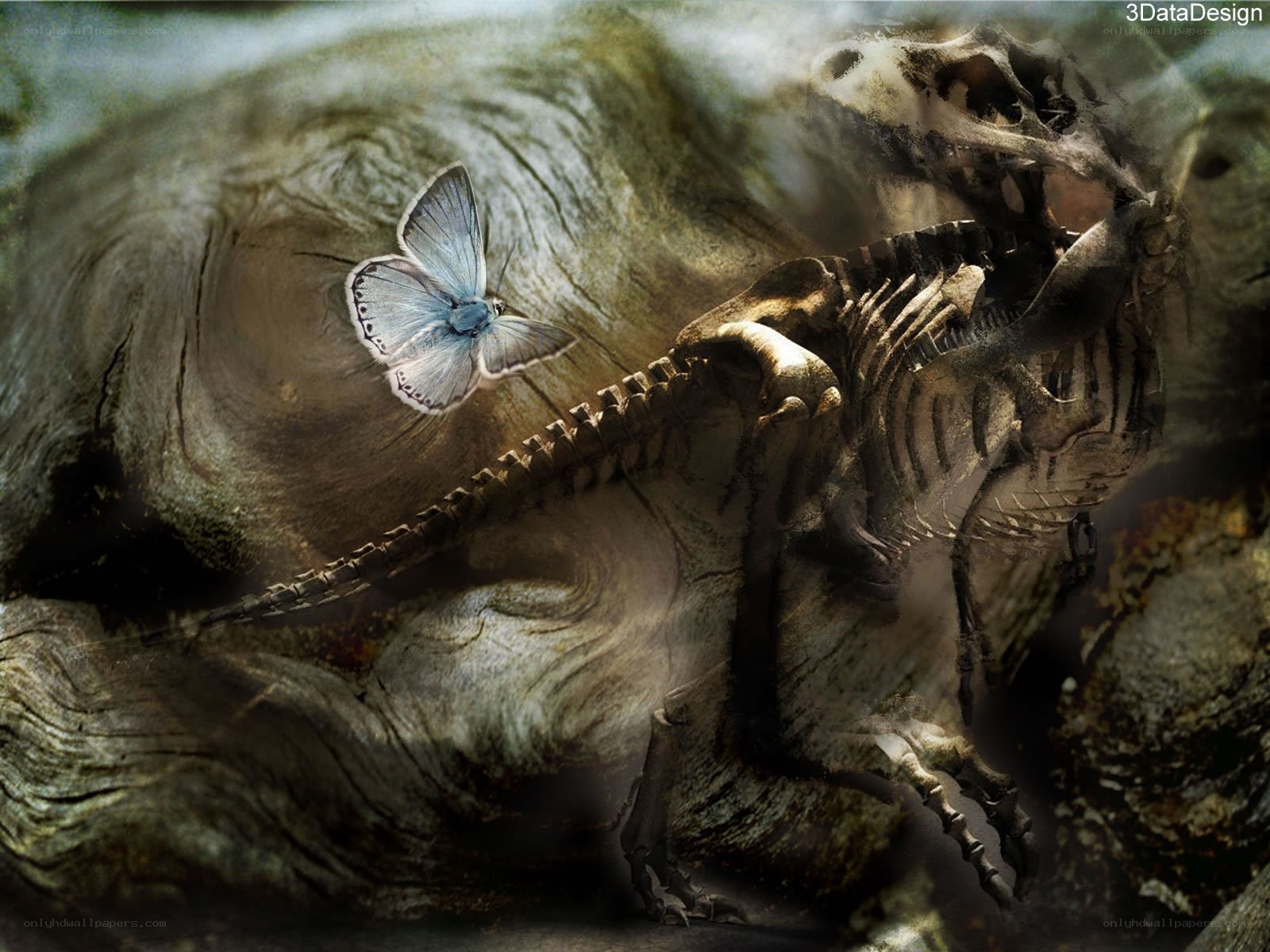 Butterfly on a dinosaur skeleton