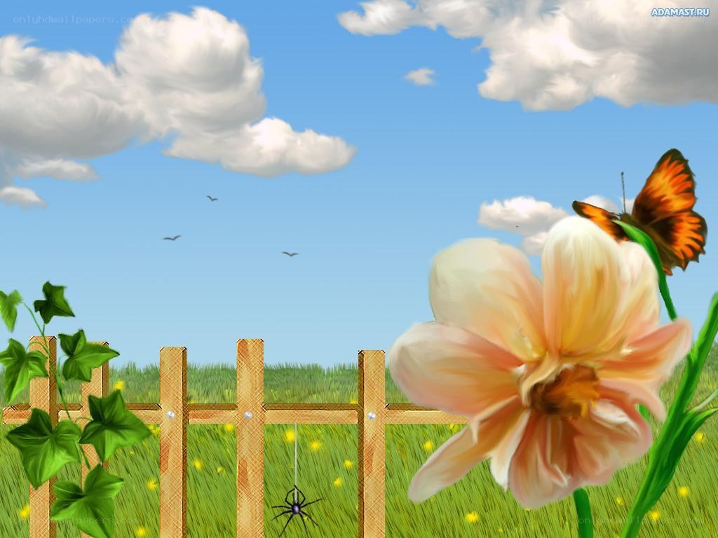 Butterfly on a flower