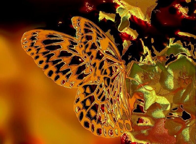 Butterfly on a flower